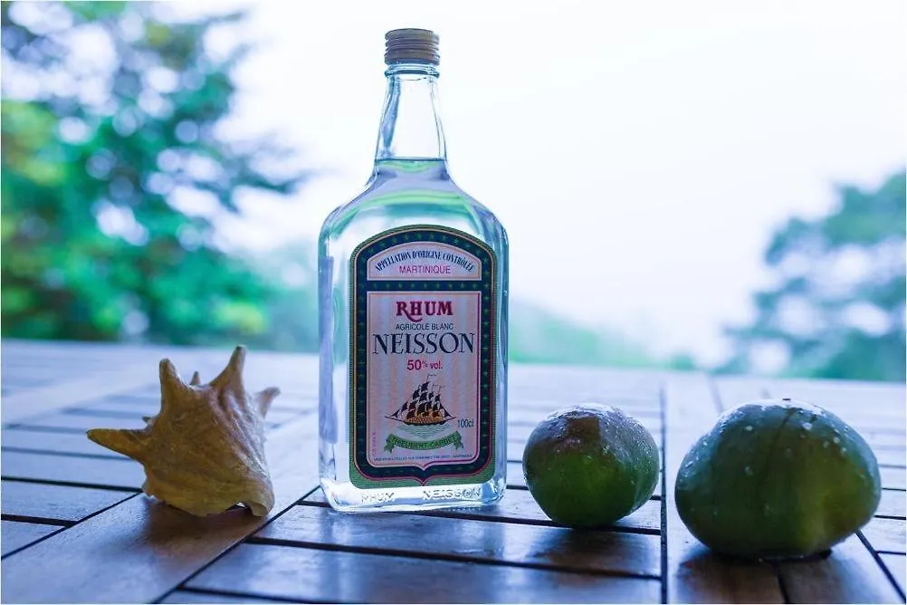 Villa Du Petit Paradis ル・カルベ